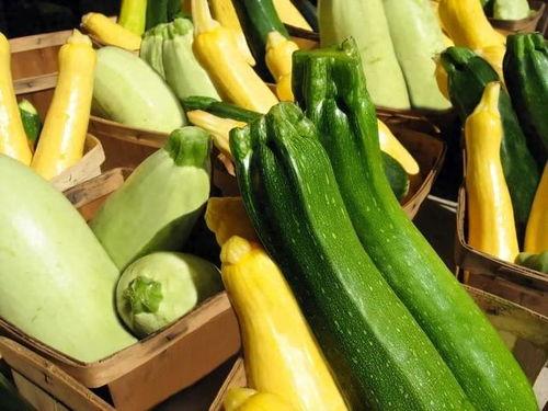 娱乐吃瓜项目推荐,那些你不知道的幕后吃瓜故事